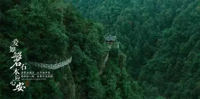 单亲的孩子就不想结婚吗?知识星球平台-探索专业知识的乐园